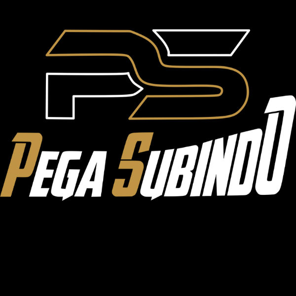 Banda Pega Subindo